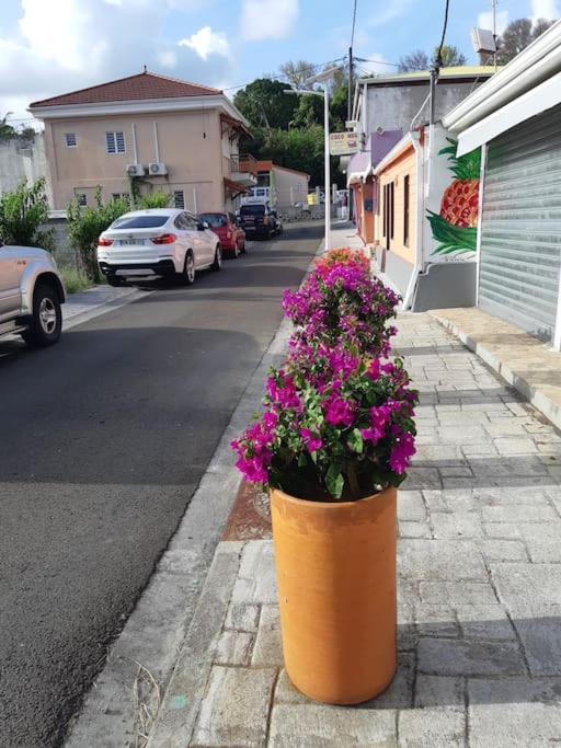 Cosy T3 Au Coeur De Sainte Anne Daire Dış mekan fotoğraf